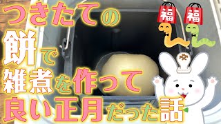 つきたての餅で雑煮を作って良い正月だった話｜Japanese mochi.｜vlog