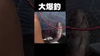 【北海道釣り】大漁！大爆釣！