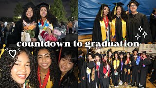 countdown to graduation
