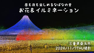 昼のお花畑と夜のイルミネーション、一日中楽しめるなばなの里