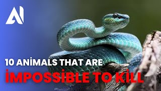 10 Animals That Are Impossible To Kill !!!