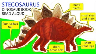 🦖 Dinosaur Book Read Aloud: STEGOSAURUS (Little Paleontologist) by A.L. Wegworth