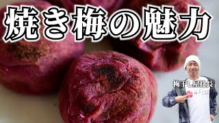 【200万再生】焼き梅の健康効果と活用法を徹底解説します