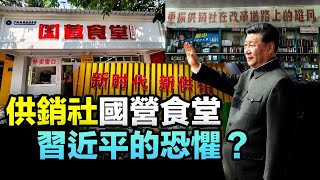 重啟供銷社國營大食堂，核心是習近平的恐懼？李元華教授展示供銷社時代糧票及肉票詮釋什麼叫統購統銷。供銷社在中國死灰復燃意味著什麼？