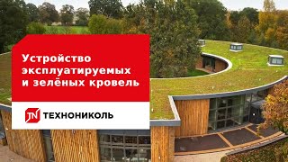 Устройство эксплуатируемых и зелёных кровель