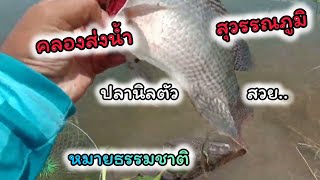 ตกปลาหน้าดิน หมายคลองส่งน้ำสุวรรณภูมิมีไซส์โบ้ๆ EP.23 #ตกปลา#ตกปลาหน้าดิน#หมายตกปลาธรรมชาติ#fishing