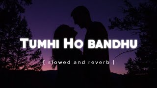 Tumhi Ho Bandhu lofi |[ slowed and reverb ]| Kavita Seth and Neeraj Shridhar |chill song | Our Level