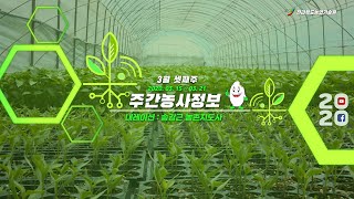 [ 주간농사정보 ] 3월 셋째주