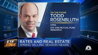 Areas of the REIT sector that could 'thrive' this year: Three experts break down the space