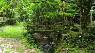 今日もサイクリング　13日目（高知県香南市）