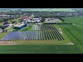 lolland forsyning why they chose savosolar