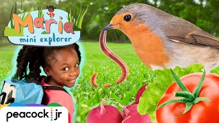 Mini Maria's Bug Safari | MARIA MINI EXPLORER