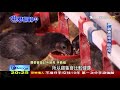 高科技養雞場 溫濕度.飼料.飲水全面監測 世界翻轉中 20171126