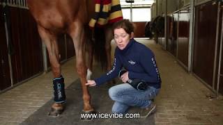 Horseware Ice Vibe Therapy Boots - How do I use my Ice Vibe Boots?