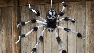 Terrifying 3ft Gray \u0026 Black Hanging Spider - Ultimate Halloween Decor!