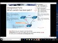 STP - Process and Algorithm