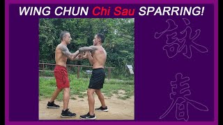 Wing Chun sparring (Chisau) done at speed