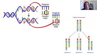 Mutations (Part 1 of 2)