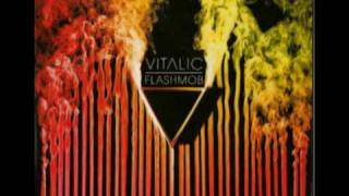 vitalic - chicken lady