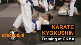Kyokushin karate adults class -  pads endurance punches