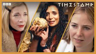 Learn About Prehistoric Life | BBC Timestamp