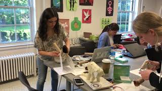 MICROBIT PETS PROJECT