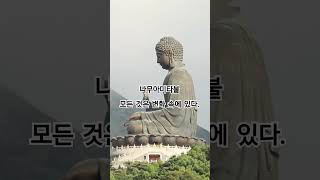 나무아미타불🙏🙏 댓글에 소원을 적어주세요🌿 #기도 #마음챙김 #명상 #부처님 #소원