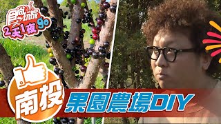 【南投】果園農場各式DIY體驗 大自然環繞豪華民宿【食尚玩家2天1夜go】20210421 (2/4)