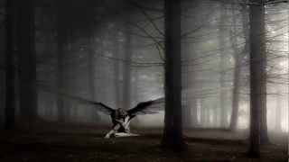 Nightwish - I wish I had an Angel Lyrics