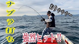 【青物ナブラ発見】 ナブラ打ち‼︎　Every day of fun fishin