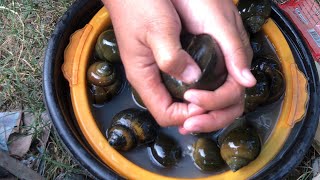 The Ultimate Homemade Snails Roast Recipe