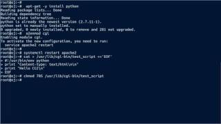 How to Configure Apache2 to use Python as CGI scripts