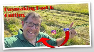 4 Steps to Haymaking (Part 1)