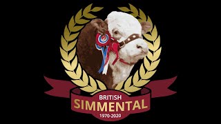 Simmental Sale at Stirling at 10.00am on Monday 17th February '25