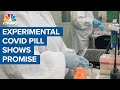 Experimental Covid-19 pill shows promise in preliminary testing