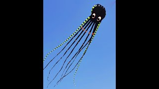 3D Giant Kite, Great Outdoor Fun to Get Everyone Involved! Large huge octopus parafoil kite adults