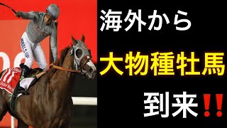 【競馬解説】海外から導入される種牡馬たちがビッグネーム過ぎる！【種牡馬】