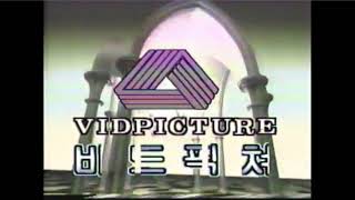 Vidpicture (South Korea)