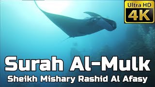Surah Al Mulk FULL 4K سورة الملك: Sheikh Mishary Al Afasy مشاري العفاسي - English Translation