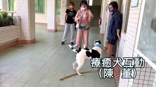 療癒犬訓練互動課程/鹿和訓犬學校/中部鹿和狗狗專屬旅館住宿服務/2021/10/27我在中華醫事科技大學當老師的日子(^_^)v #長大後我也要當麻辣鮮師