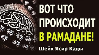 Вот что происходит в Рамадане! Ясир Кады