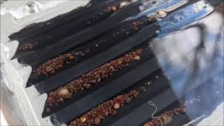 Gold panning at the confluence of rivers