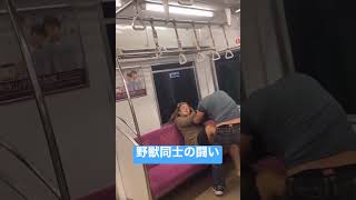 電車内で野獣同士の激しい闘い#速報#電車#喧嘩