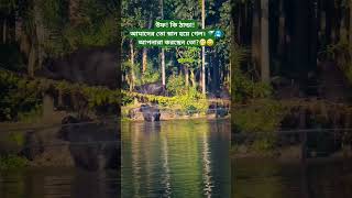 উফ! কি ঠান্ডা! আমাদের তো স্নান হয়ে গেল। আপনারা করছেন তো? Uff! cold!  We had a bath.  Are you doing?