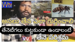 తేనెటీగలు కుట్టకుండా.. రహస్యం, తేనెటీగల పూర్తి స్టోరీ