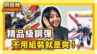 開箱辣l這就是質感 貴鬆鬆的MB翔翼型攻擊鋼彈! ストライクガンダムMETAL BUILD STRIKE GUNDAM BANDAI 萬代