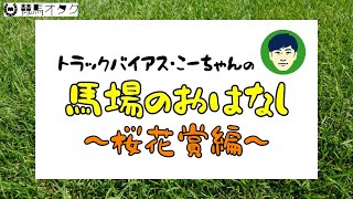 【2020桜花賞】阪神芝1600ｍの特徴と馬場傾向（トラックバイアス）