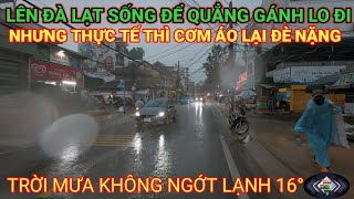 LÊN ĐÀ LẠT SỐNG ĐỂ QUẲNG GÁNH LO ĐI NHƯNG CƠM ÁO LẠI ĐÈ NẶNG. TRỜI MƯA KHÔNG NGỚT