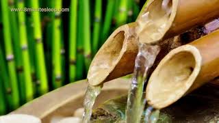 BAMBOO WATER FOUNTAIN   Relax & Get Your Zen On   White Noise