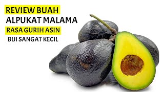 ALPUKAT MALAMA | Review Buah Alpukat Introduksi Rasa Enak dan Pulen | Pohon Alpukat Malama Berbuah